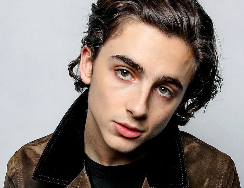 How to Get Timothée Chalamet’s Epically Good Hair
